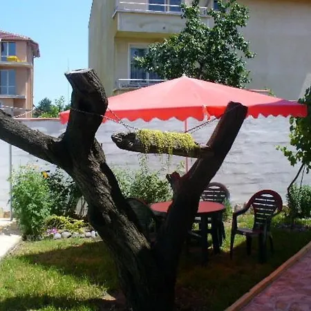 Alex Guest house *